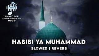 HABIBI YA MUHAMMAD | slow & reverse | soft vibes studio | #lofi #viral #love #youtube #song