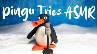 Pingu Tries ASMR (Stop Motion Parody)