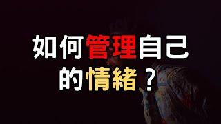 如何管理自己的情緒？情緒不好怎麼做？學習和情緒相處【愛學習】