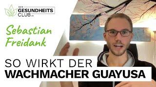 So wirkt der Wachmacher Guayusa - Sebastian Freidank (INTERVIEW)