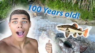 Renovating a 100 Year Old 3000 Gallon Monster Fish Pond!