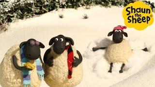 Shaun the Sheep  Chill with Shaun - Cartoons for Kids  Full Episodes Compilation [1 hour]