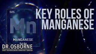 Manganese - Don't Ignore The Key Functions of This Mineral!