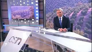 Canal Sur se hace eco del Proyecto C-Olivar - Denominación de Origen Estepa