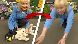 Carol Kirkwood pulled over by dog on live TV... Again!!!