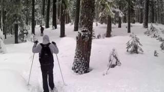 Winter on the Pacific Crest Trail