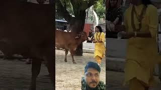 Gau sewa param sewa har har Mahadev #love #aniruddhacharyabhajan #song #anirudhmaharaj #cow #aniru