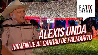 Tributo al Carrao de Palmarito / Alexis Unda