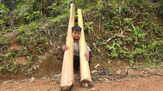 poor boy - go into the forest to cut bananas and herd ducks - Build a fish pond bank