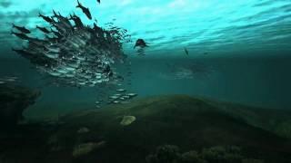 Baltic Sea Realtime Visualization (Work in Progress)