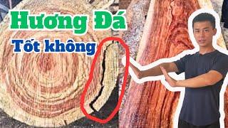 Gỗ HƯƠNG ĐÁ có tốt không mà lại CÓ NHIỀU người DÙNG | Đồ gỗ Gia Vũ
