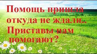 22 января 2020 удалось оплатить долг приставам по 643 коду валют.