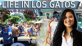 What is Living in Los Gatos Like? | Living in Los Gatos 2022