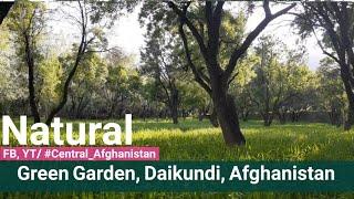 Daikundi, Afghanistan, Green Nature