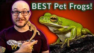 Top 5 BEST Pet Frogs | 100K Subscriber Silver Play Button Reveal!