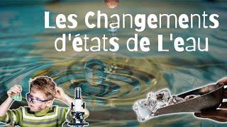 Les p'tits curieux - Les changements d'états de l'eau - Brain de Savoir #6