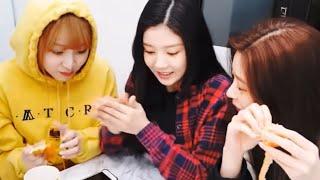 그녀들의 귤 까는 법