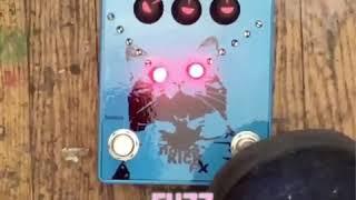 Noise Kick FX Laser Cat Fuzz