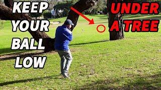 How To Hit A Golf Ball Low Under Trees