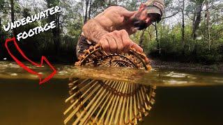 Build & Trap | Primitive Bamboo Fish Trap | Cedar Bark Cordage