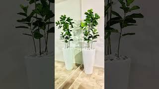 Transform Your Space: The Magic of Faux Indoor Plants#interiordesign #indoordecor #artificialplants