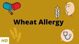 Wheat Allergy, Causes, Signs and Symptoms, Diagnosis and Treatment.