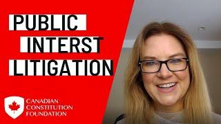 What is public interest litigation and why does it matter?