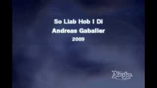 Andreas Gabalier - So Liab Hob I Di (Karaoke mit Text)