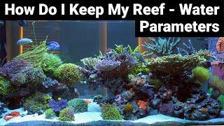 How Do I Keep My Reef - Water Parameters