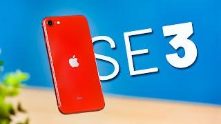 Die (traurige) Wahrheit über das iPhone SE 3! (2022)