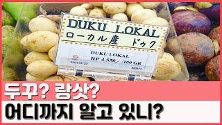 평생 한번 먹어보기 힘든 열대과일 : 두꾸 / Duku |요알남 Mingstar