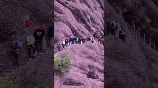 Tourists on the Yuannao Road in Jianmen Pass, Sichuan Province, May 1, 2024#china #travel