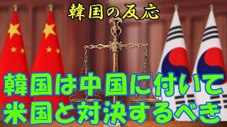 【韓国の反応】韓国は中国に付いて米国と対決するべきです！【韓国人の反応・海外の反応】