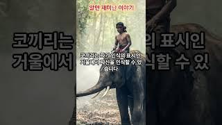 동물에 대해 알면 재미난 이야기 2탄 #shorts #쇼츠