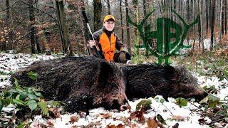 Sauen im Schnee! Drückjagd mit den Hunter Brothers