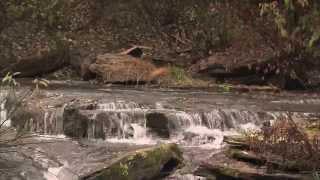 A Water Act for Prince Edward Island