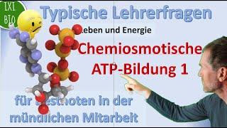 Chemiosmotische ATP-Bildung Teil 1/3 - Grundlagen: typische Lehrerfragen + geniale Schülerantworten