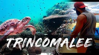 Trincomalee | Pigeon Island | Snorkeling | Up and Go Travels | Video 006