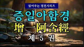 (#읽어주는 경전시리즈) 증일아함경(增一阿含經) 제5권