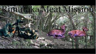 Two Deer Down, 40 yards From Camp. ( Rimutaka Meat Hunting at its best)