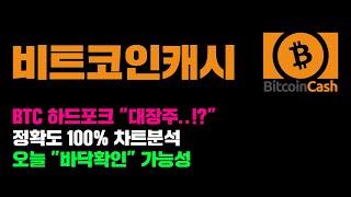 비트코인캐시 [긴급] 오늘 "바닥확인" 가능성은..?! BTC 하드포크 자산 움직인다, 정확도 100% 차트분석! 영상 필수시청 #코인시황