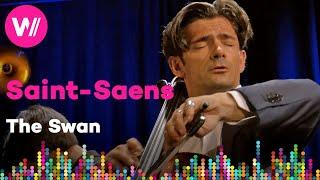 Saint-Saens - The Swan | Gautier Capuçon: Cello recital (Verbier Festival 2022)