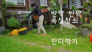 하이디의 일상(Vlog)/Minimal life/호텔 욕실처럼 청소하는법/반짝 반짝 욕실청소/과탄산으로 욕실청소했을때/정원에 잔디깍기/정원 힐링~