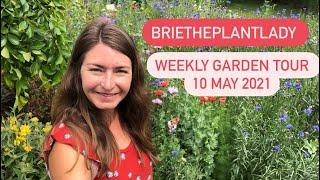 Weekly Garden Tour 10 May 2021