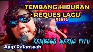 Ayip Rafansyah | Kembang Werna Pitu | Cover Tarling [Official Video Lyric]