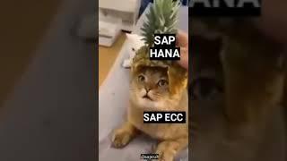 They call it S/4HANA. #sapvideo #sap #shorts #saphana