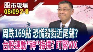 距年線越來越遠 美台股真落底?VIX恐慌指數打暗號 找到台股連動密碼?3大投資探照燈!｜20240809(第2/8段)股市現場*鄭明娟(俞伯超)