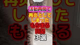 【闇】活動再開で再炎上してしまったもちまる日記3選