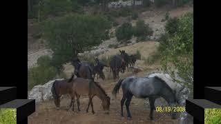 ISPARTA /SÜTÇÜLER /ŞİRİN KESME 'miz (kesme kasabası)