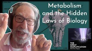 Geoffrey West: "Metabolism and the Hidden Laws of Biology" | The Great Simplification #117